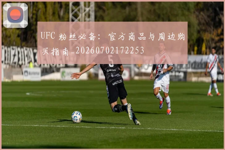 UFC 粉丝必备:官方商品与周边购买指南_20260702172253