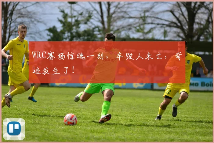 WRC赛场惊魂一刻，车毁人未亡，奇迹发生了！